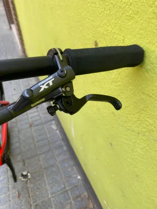 Bicicleta FOCUS Raven