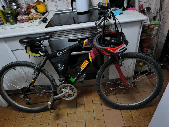 Bicicleta de montaña TINO