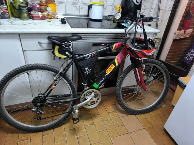 Bicicleta de montaña TINO