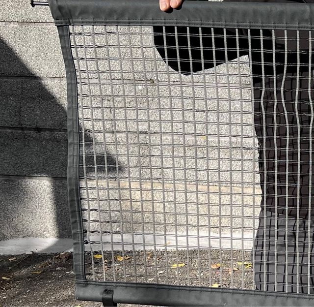 red separadora perros para coche