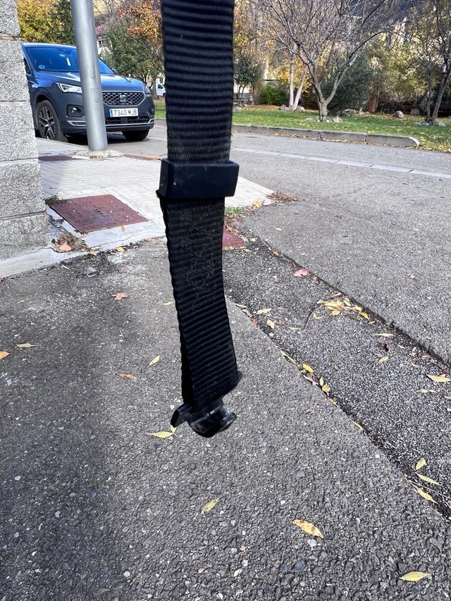 red separadora perros para coche