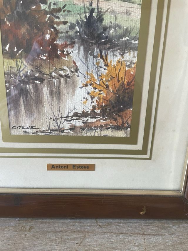 Acuarela Antoni Esteve con marco