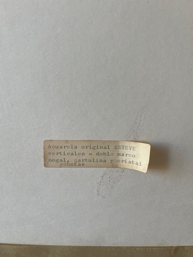 Acuarela Antoni Esteve con marco