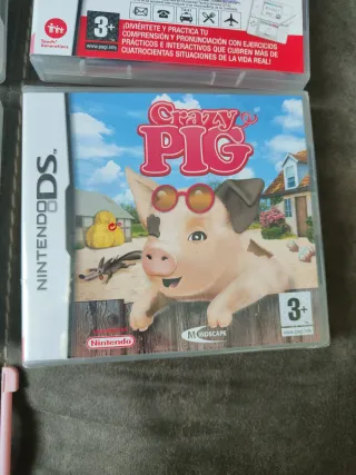 Lote Nintendo DS: Juegos y Accesorios