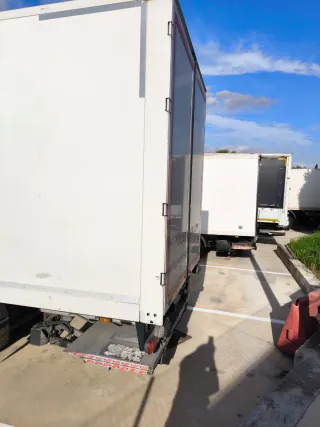 Vendo camión DAF LF 220 caja 18 palets por 29.995