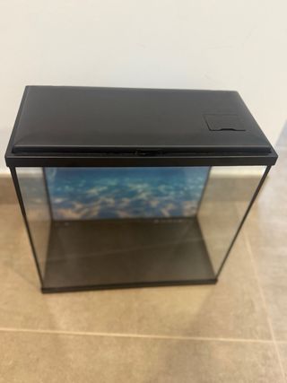 Acuario + (kit)  con fondo marino