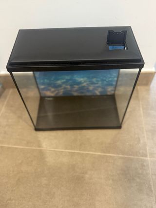 Acuario + (kit)  con fondo marino