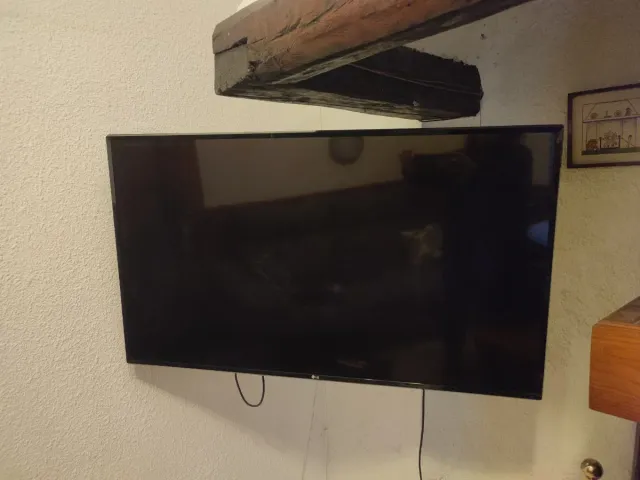 Televisor LG 48 pulgadas  Negro con Brazo