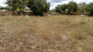 Finca rústica Llucmajor 3600m²