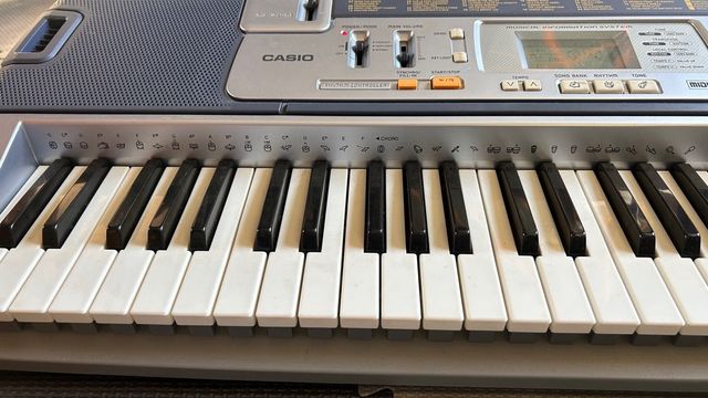 Teclado Casio LK-110