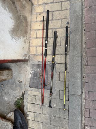 Cañas de carpa y siluro Decathlon