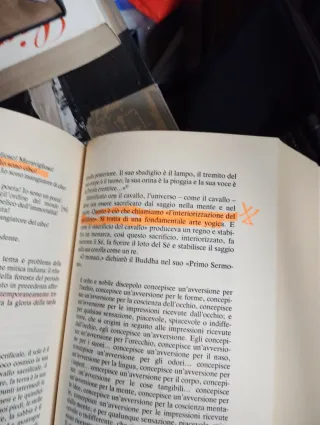 Libro Mitologia Orientale Joseph Campbell