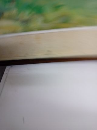 Quadro Renzo Foglia con cane