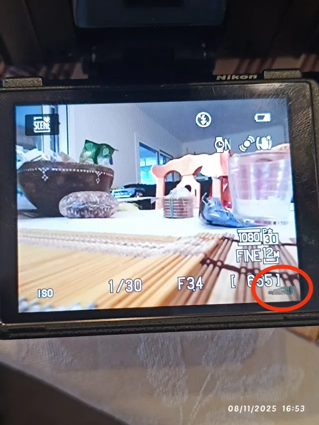 Cámara Nikon P500 coolpix