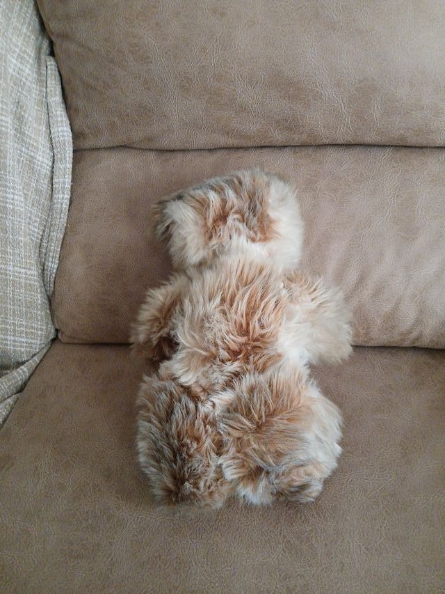 Perrito peluche vintage Nounours años 70