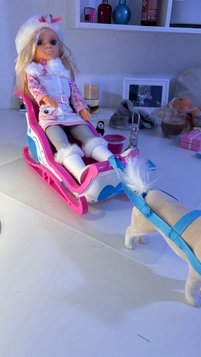 Nancy Nieve Trineo y Accesorios