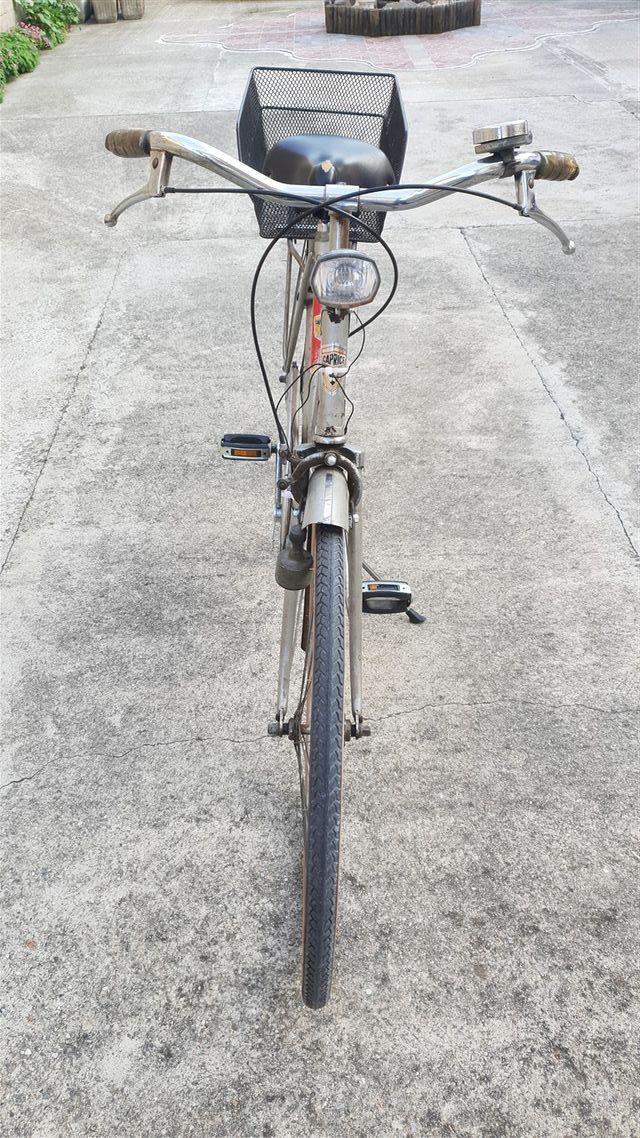 Bicicletta Caprice con cestino