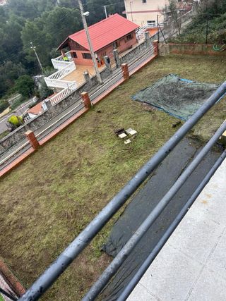 JARDINERO: PODA DE ÁRBOLES Y SETOS