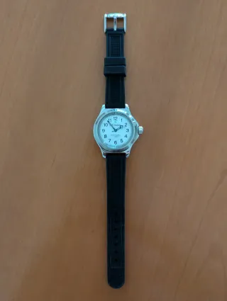 Vostok Amphibia 120813