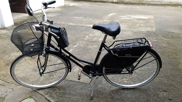 Bicicletta da donna revisionata