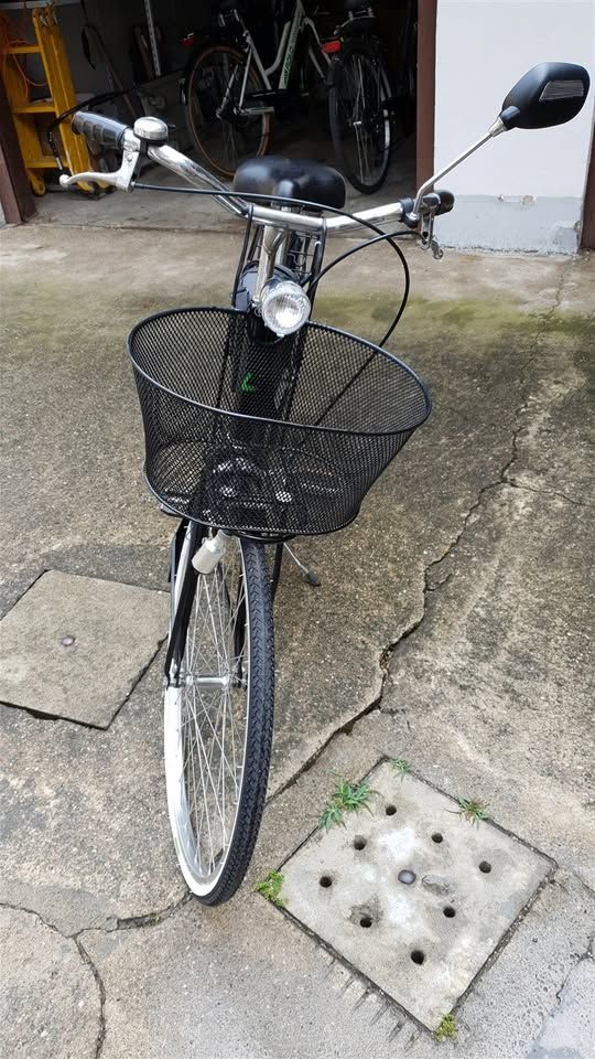 Bicicletta da donna revisionata