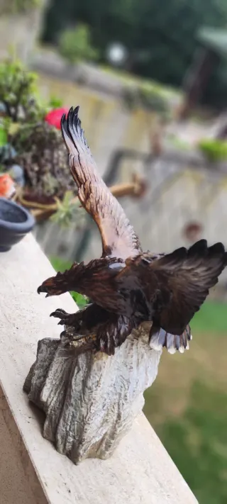 Aquila Capodimonte Tay 1953