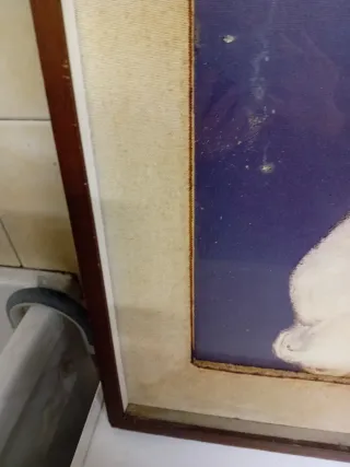 Dipinto donna con drappo