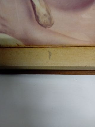 Dipinto donna con drappo