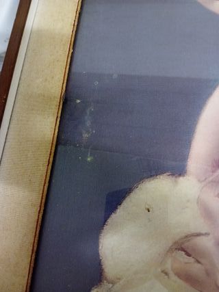 Dipinto donna con drappo