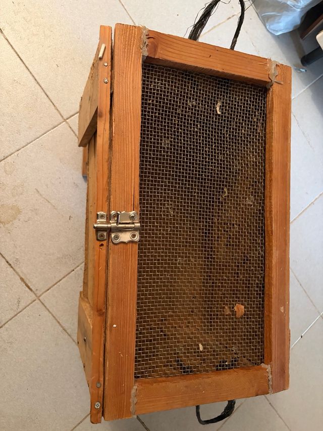 Caja artesanal para caracoles