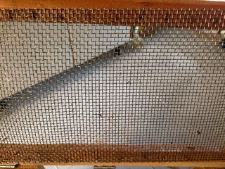 Caja artesanal para caracoles