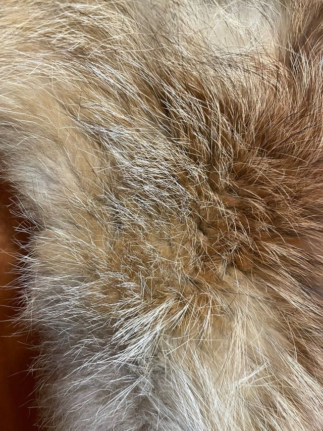 Cuello bufanda pelo auténtico Ramón Escolá.