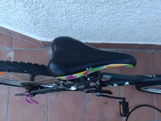 Bicicleta Btwin Poply 24 Infantil