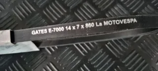 Correa Vespino Original Gl Sc Al Nlx