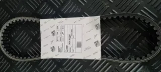 Correa Vespino Original Gl Sc Al Nlx