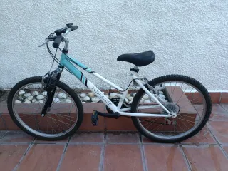 Bicicleta de montaña Topbike