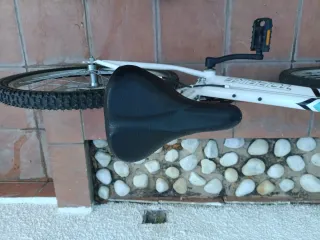 Bicicleta de montaña Topbike