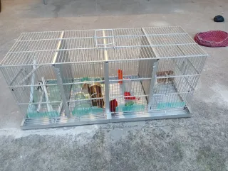 Jaula grande para pájaros