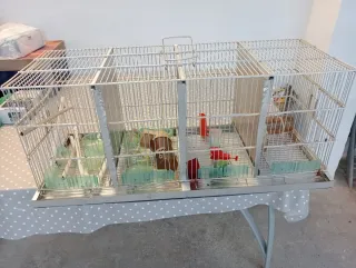 Jaula grande para pájaros