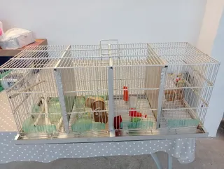 Jaula grande para pájaros