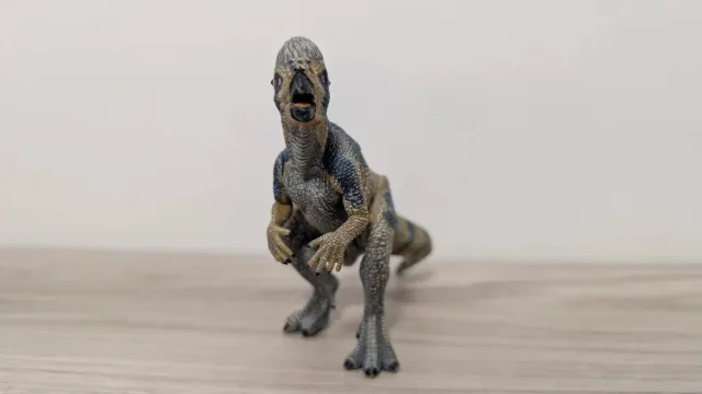 Pachycephalosaurus baby Papo