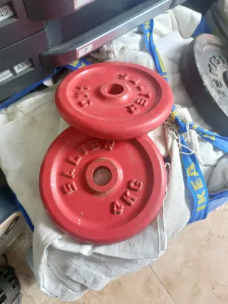 Pesas Salter 4kg y 10kg