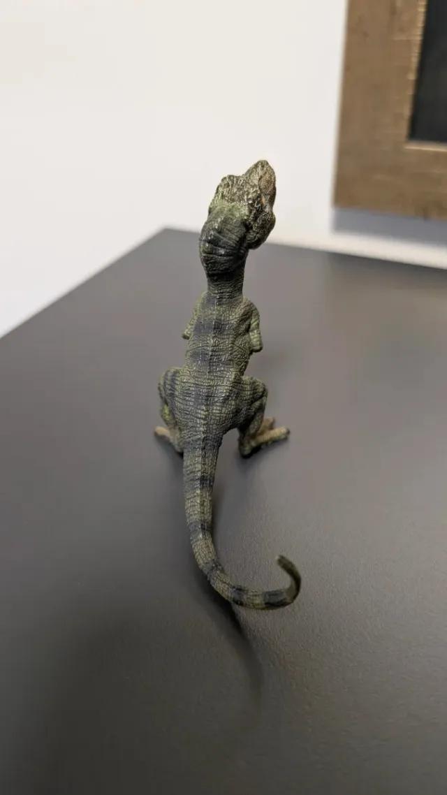 Bebé T-Rex Papo Descatalogado