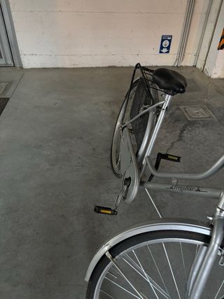 Bici da donna con cestino vendo per Bologna