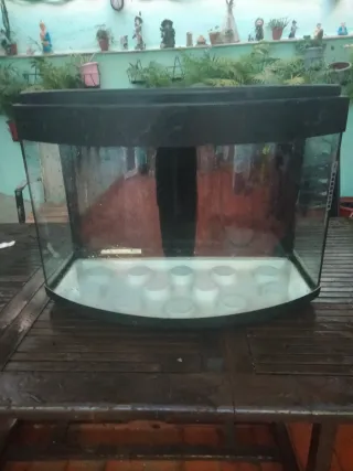 Acuario precio negociable