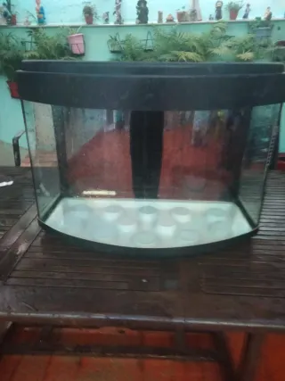 Acuario precio negociable