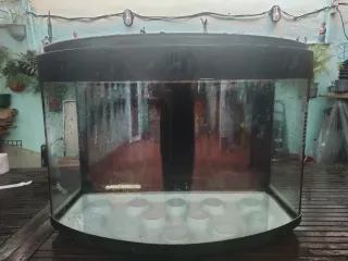 Acuario precio negociable