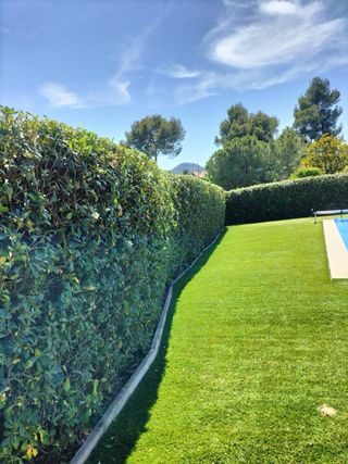 JARDINERO: PODA Y DECORACION DE SETOS