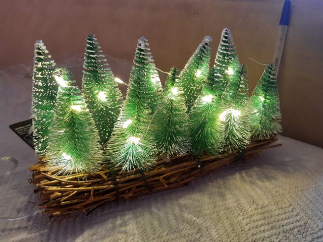 Navidad- Bosque con Luces LED