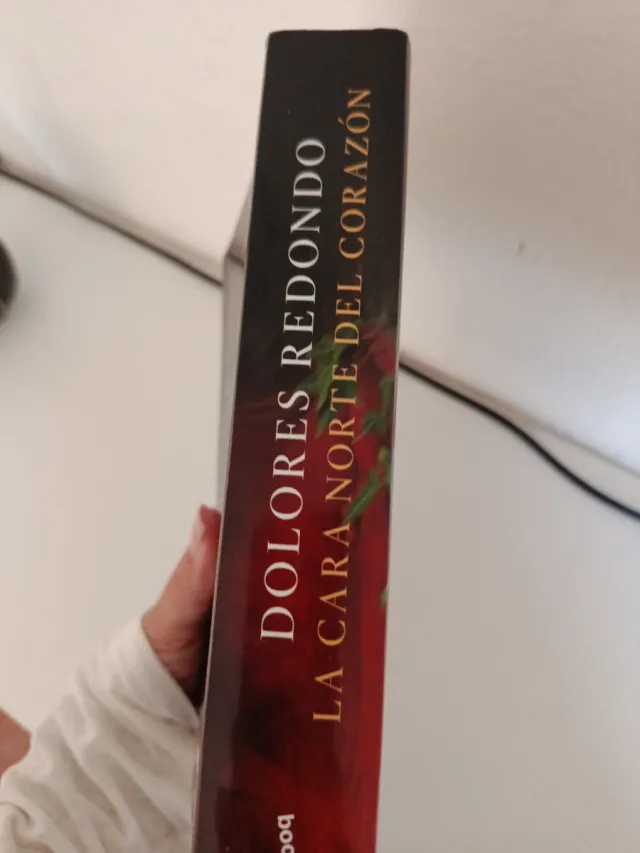 La cara norte del corazón